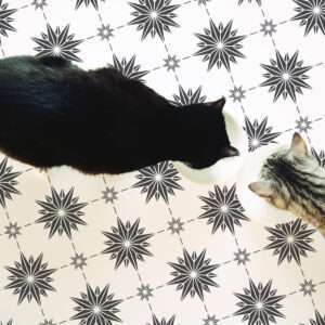 Reusable Plastic Tile Stencil // ESTRELLA