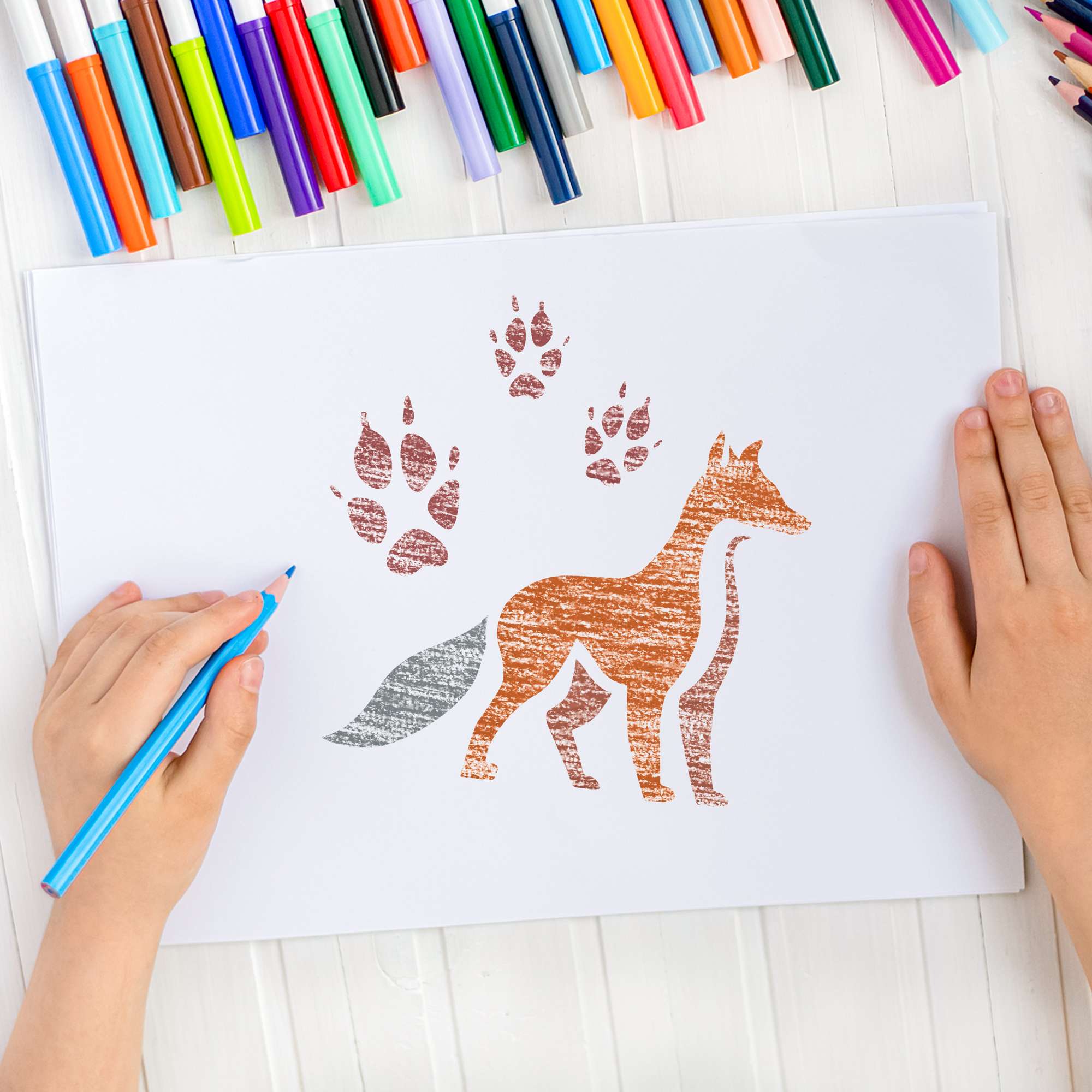 Teken sjabloon voor kinderen (8 stuks) // BOSDIEREN Teken sjabloon voor kinderen (8 stuks) // BOSDIEREN